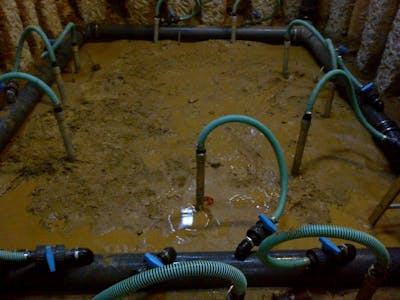 Wellpoints for basement dewatering